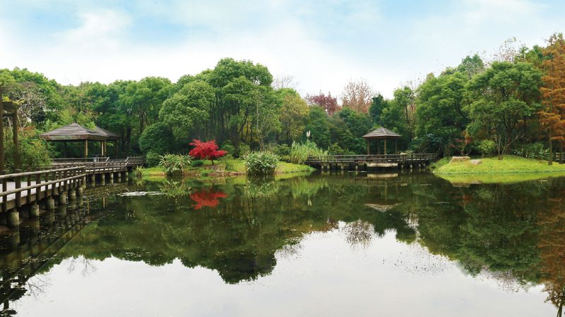草坪铺设沙土配比计算方法：关键步骤与注意事项
