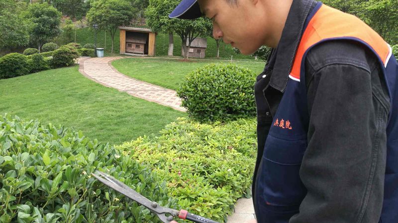 边坡绿化预算编制：关键步骤与注意事项**