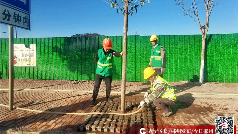 城市绿化资质的取得，需要满足以下条件：