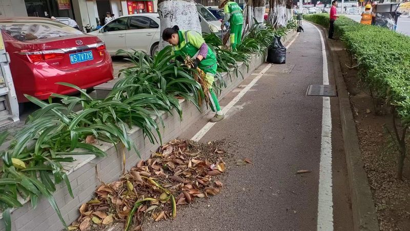 成都别墅小区绿化设计：打造生态宜居的秘密武器
