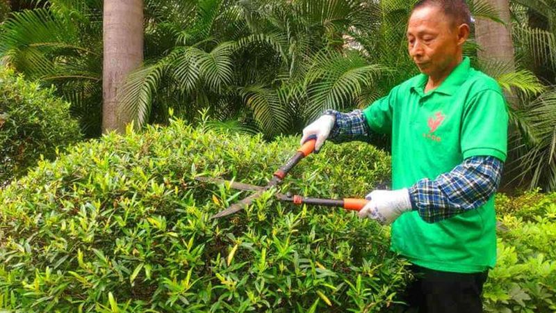 室外立体绿化的价格受多种因素影响，主要包括以下几个方面：