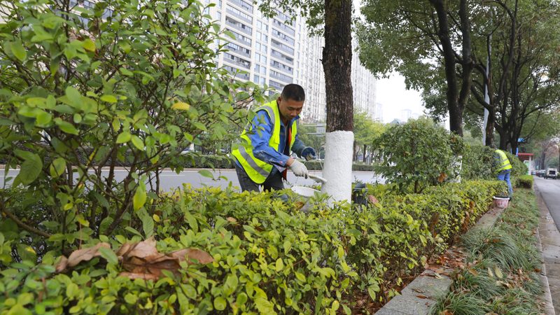 小区绿化除草剂安全使用指南**