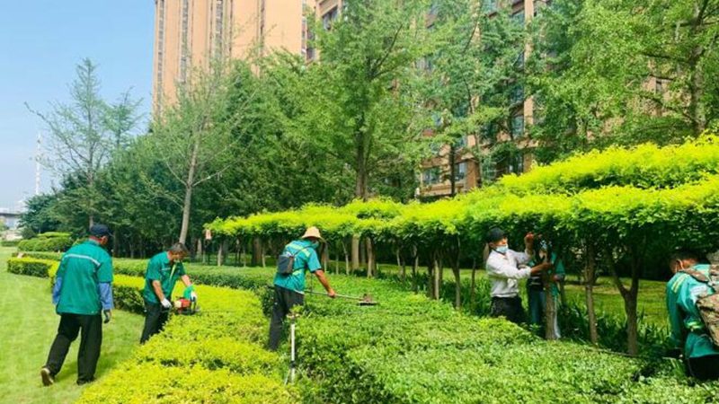 绿化施工资质申请难不难？揭秘资质申请背后的真相