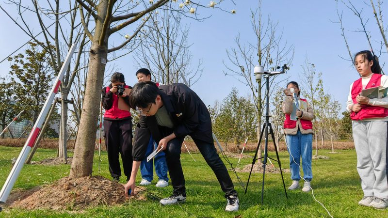 楼顶迷你庭院设计方案：打造城市绿洲的实用指南